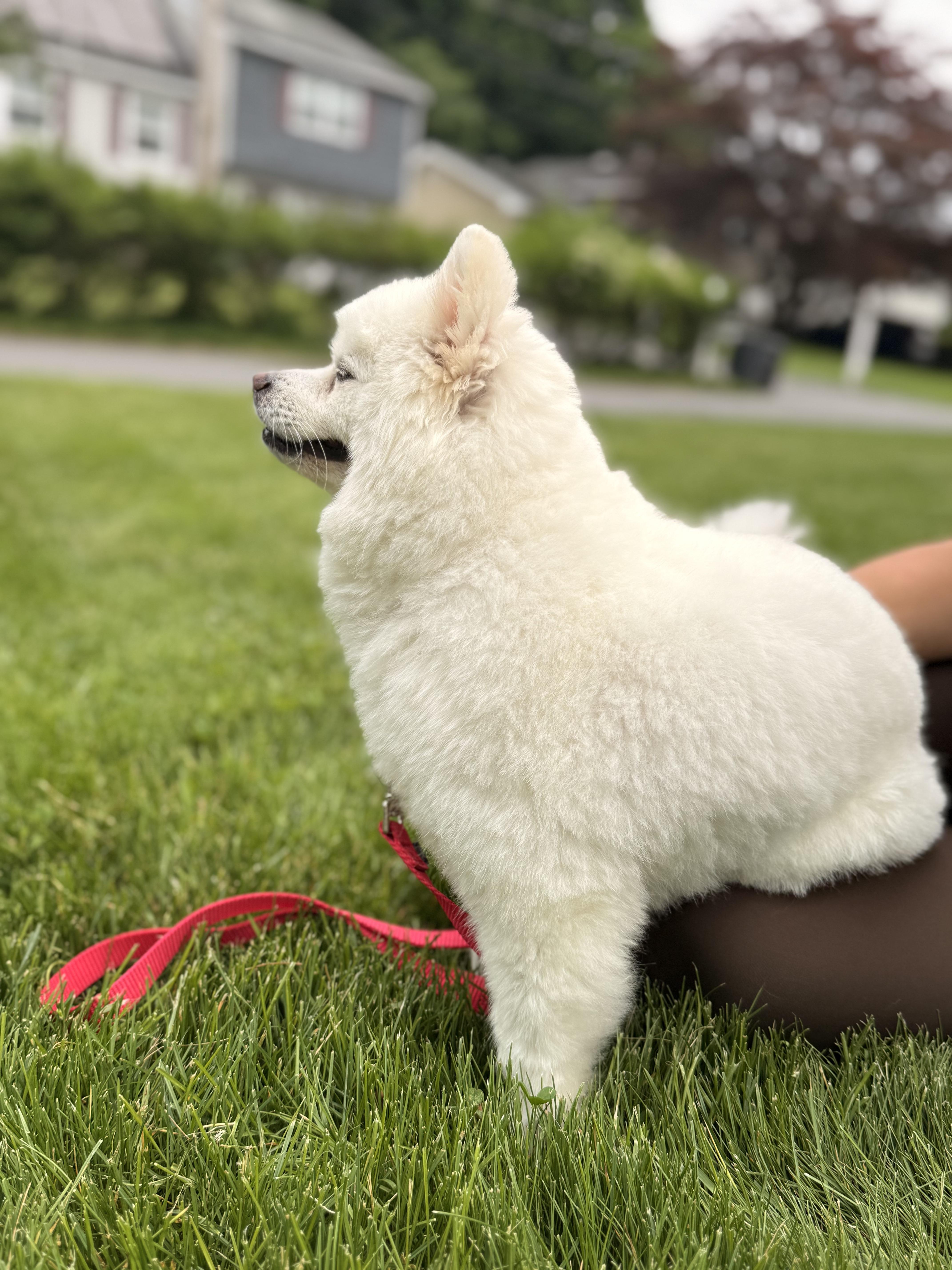 Wrigley thumbnail 2