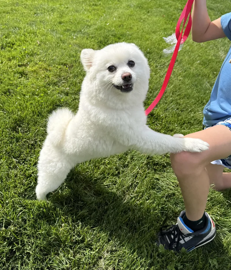 Wrigley thumbnail 3