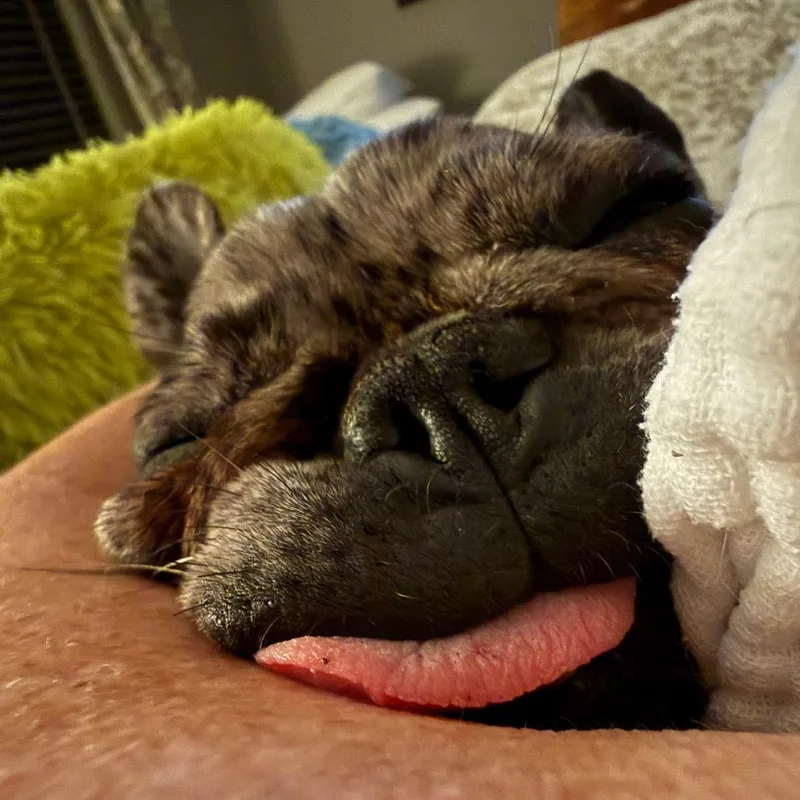 Brigette thumbnail 3