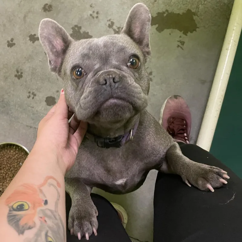 Lucille Stray Hold
