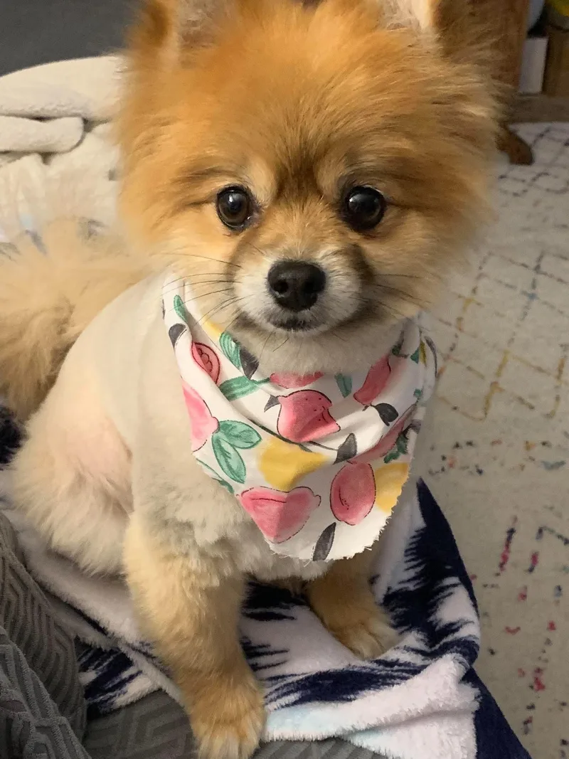 Roxy thumbnail 2