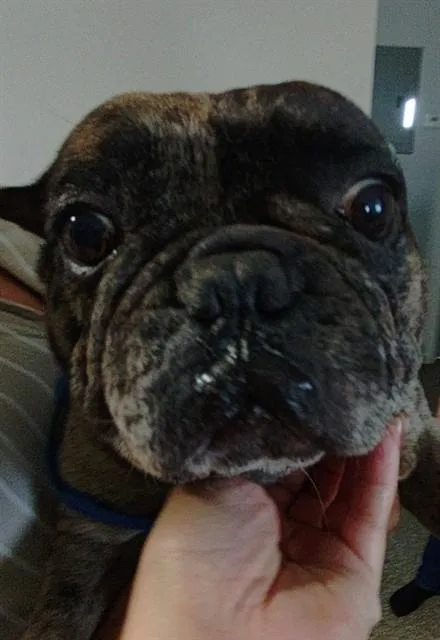 Lucy