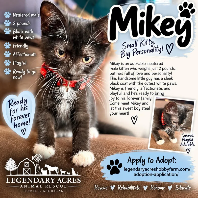 Mikey