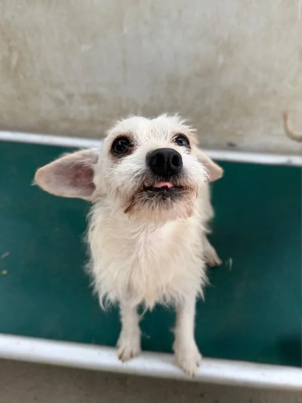 Mckinley thumbnail 3