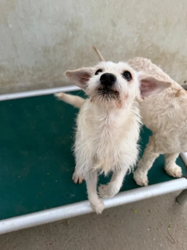 Mckinley thumbnail 4