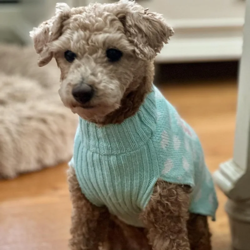 Flossy Free Training Support thumbnail 3