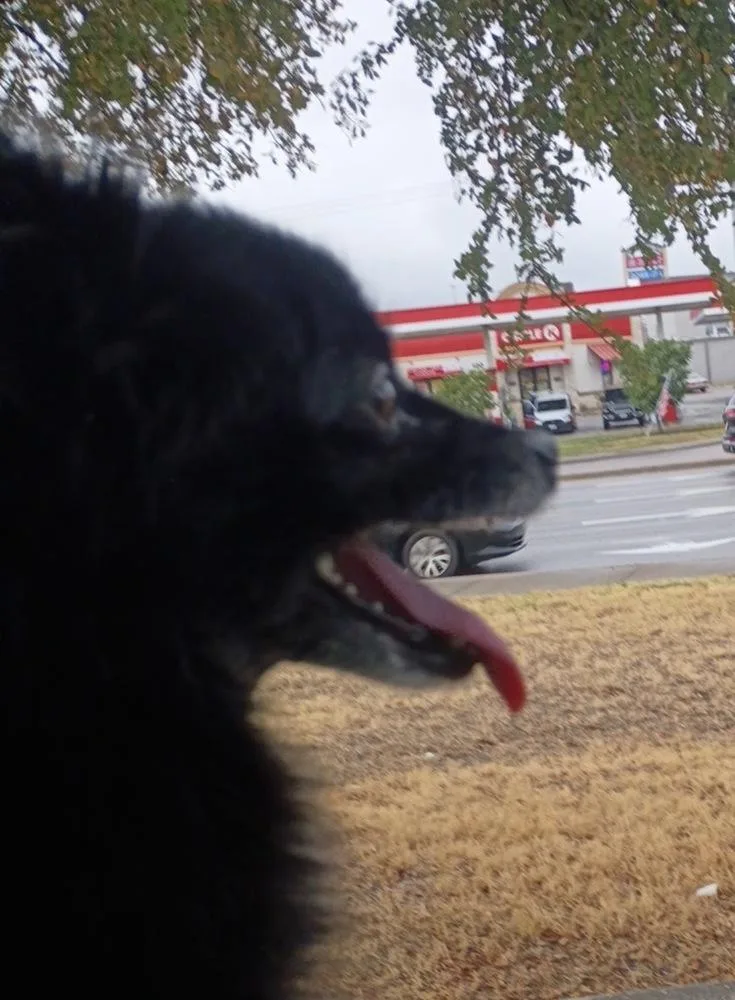 Little Bit pka Fendi thumbnail 3