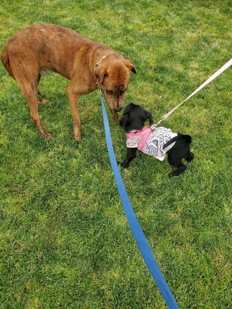 Charlie Brown  You're