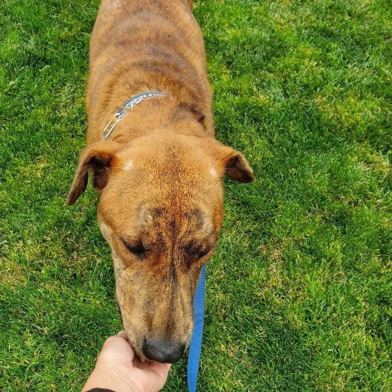 Charlie Brown  You're thumbnail 2