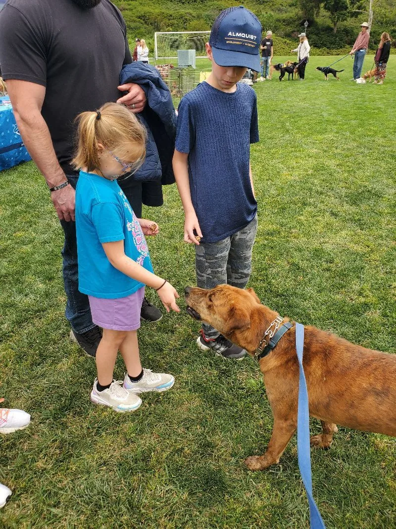 Charlie Brown  You're thumbnail 3