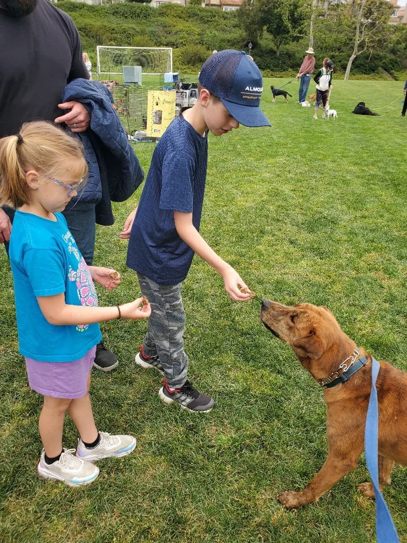 Charlie Brown  You're thumbnail 4