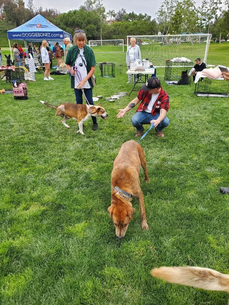 Charlie Brown  You're thumbnail 6