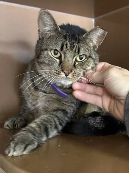 Wonder $ thumbnail 2