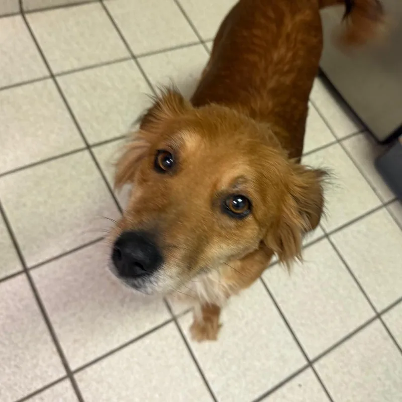 Legally Blonde Aka Kiara