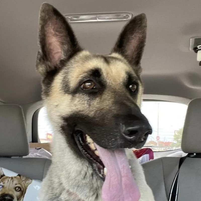 Jax