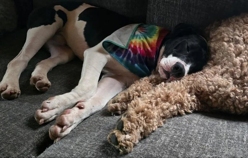 Big John thumbnail 2