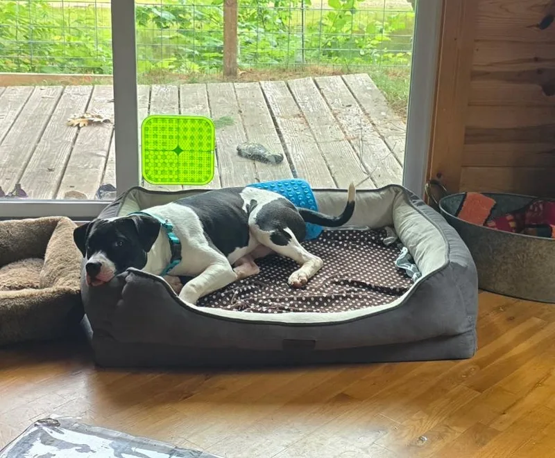 Big John thumbnail 4