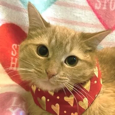 Remarkable Russell! thumbnail 5