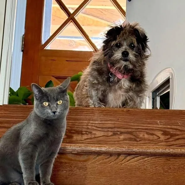 Moochita thumbnail 4