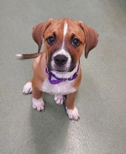 Matilda