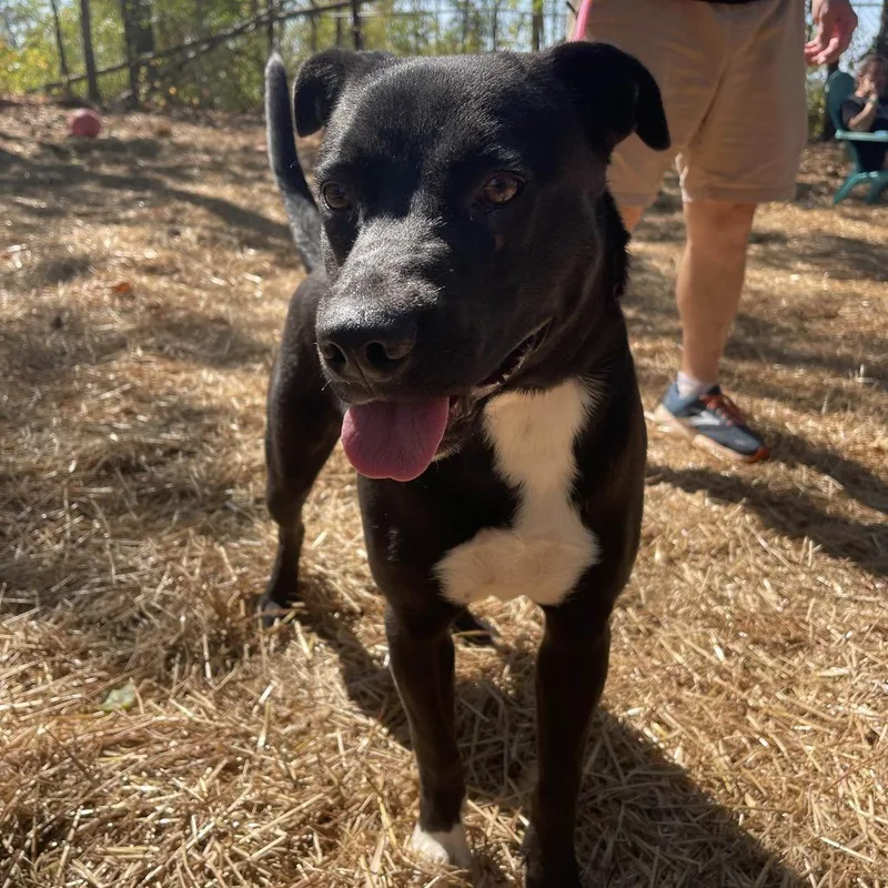 Smoochie The Kisser thumbnail 3