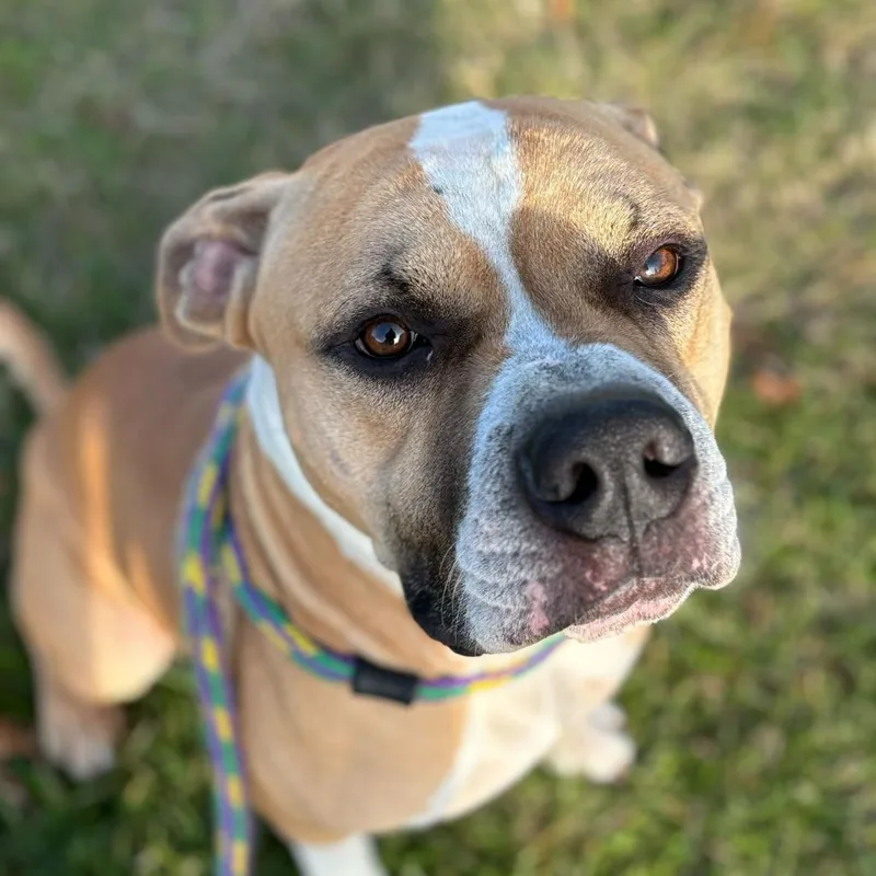 Murdock