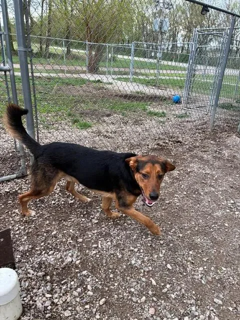 Duke