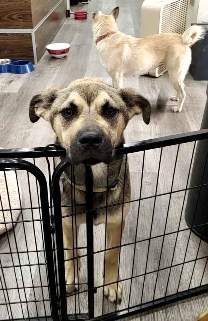 Theo   Rd thumbnail 2