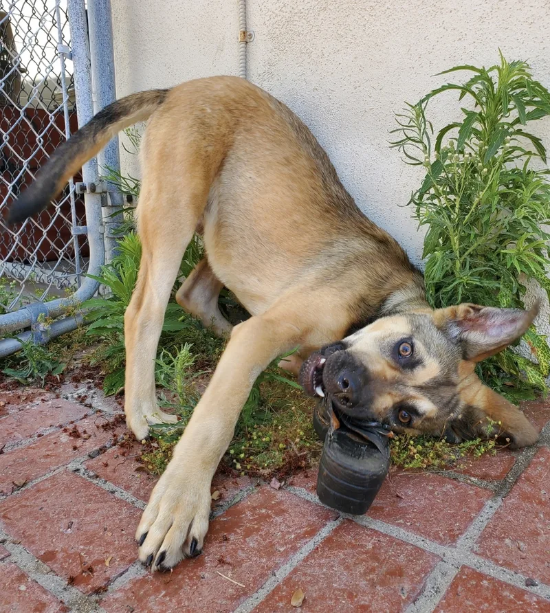 Theo   Rd thumbnail 3