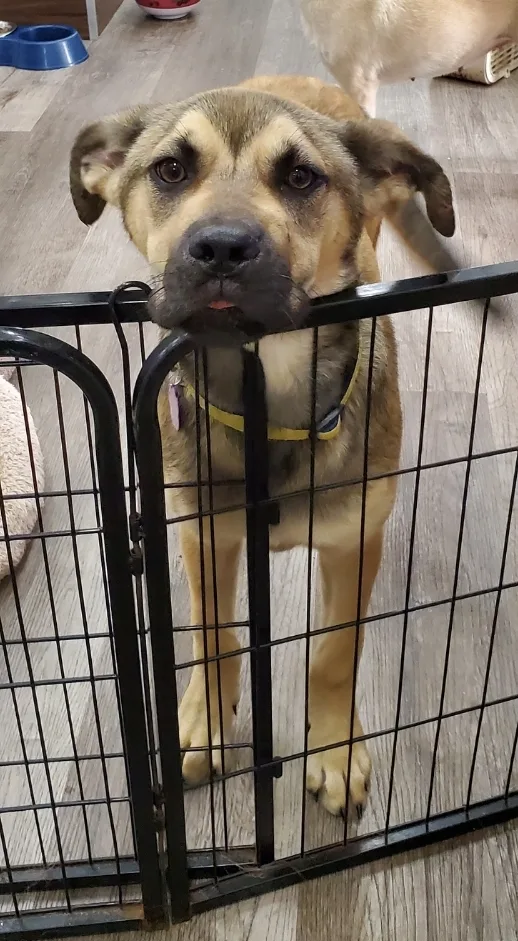 Theo   Rd thumbnail 4