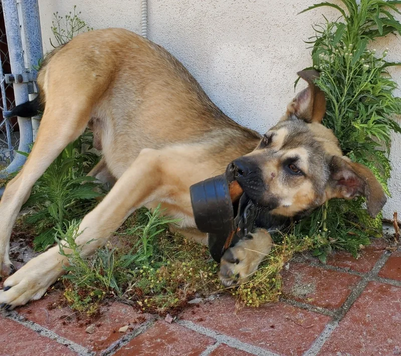 Theo   Rd thumbnail 5