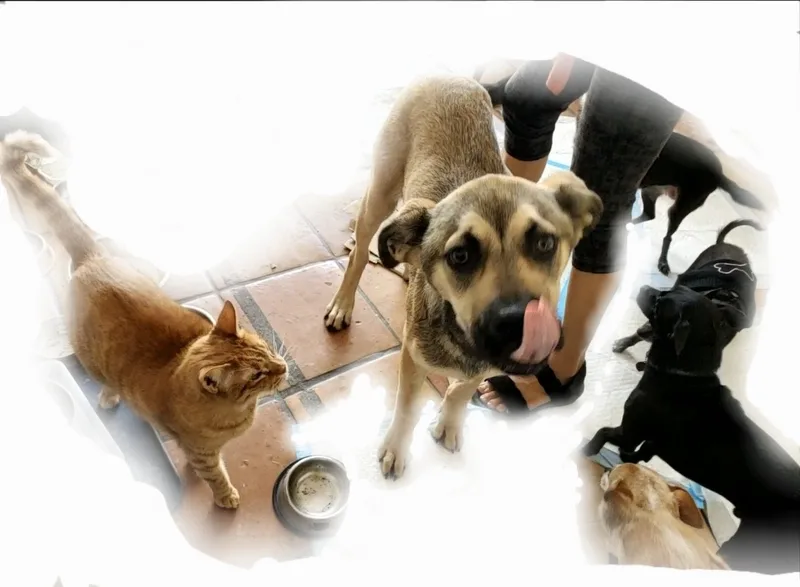 Theo   Rd thumbnail 6