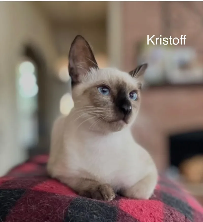 Kristoff thumbnail 2