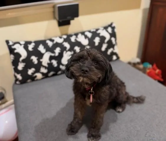 Esme  A Little thumbnail 3