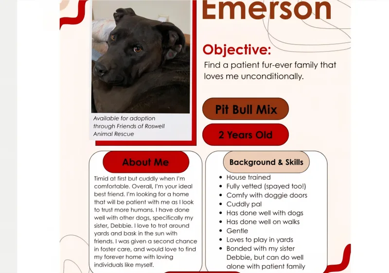 Emerson thumbnail 2