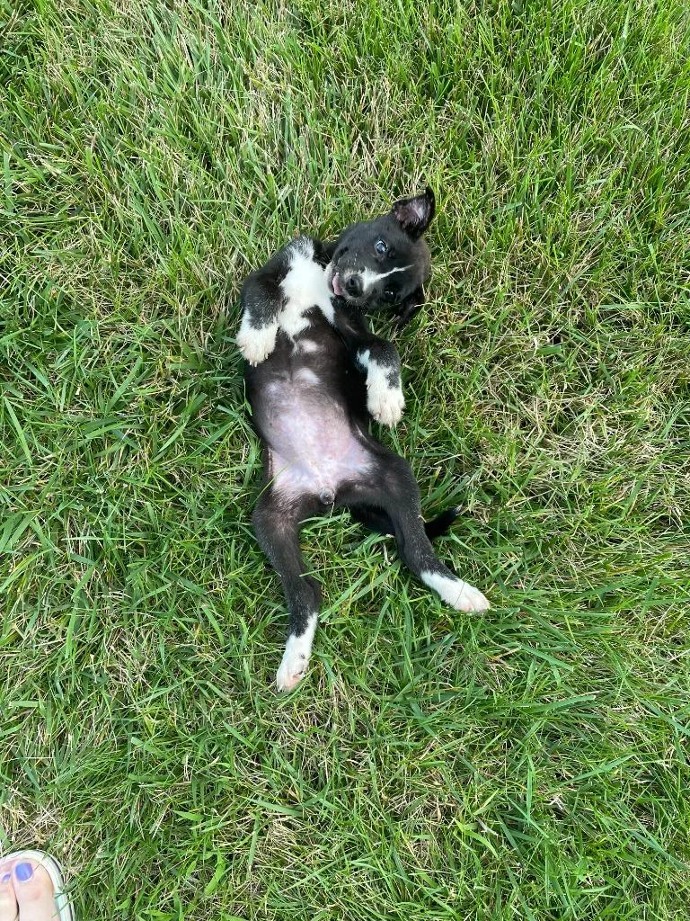 Marla thumbnail 5