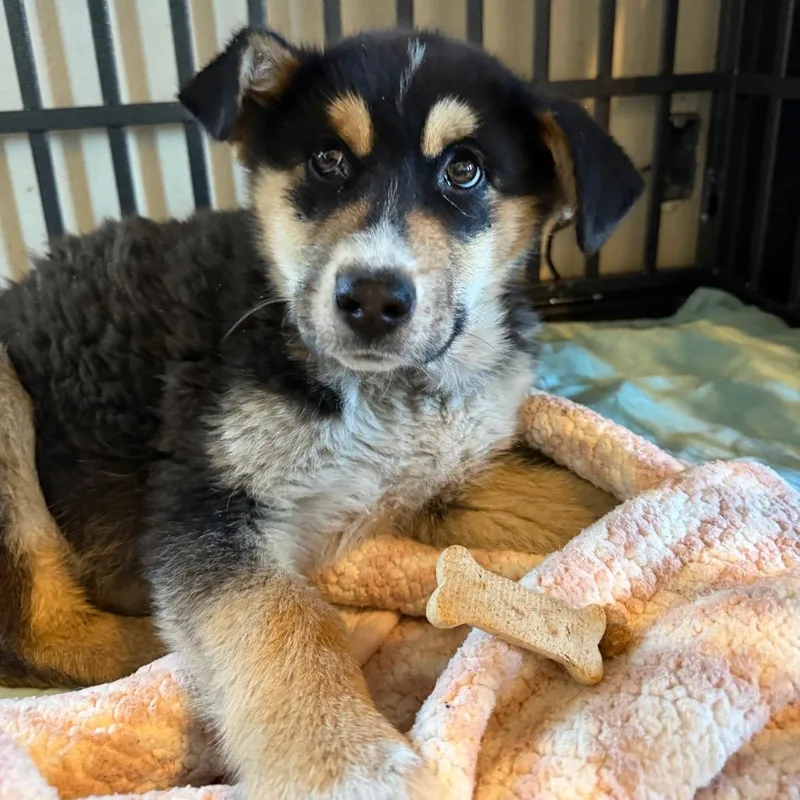 Speed Bump thumbnail 2