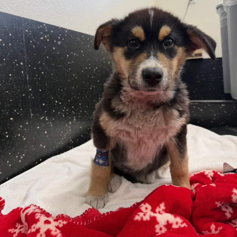 Speed Bump thumbnail 3