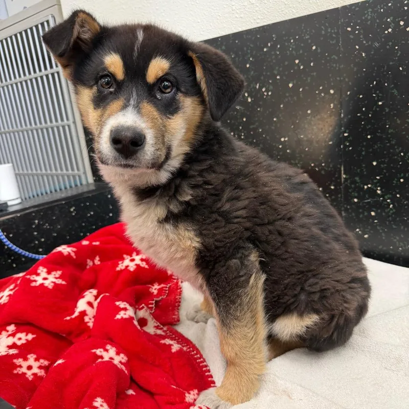 Speed Bump thumbnail 4