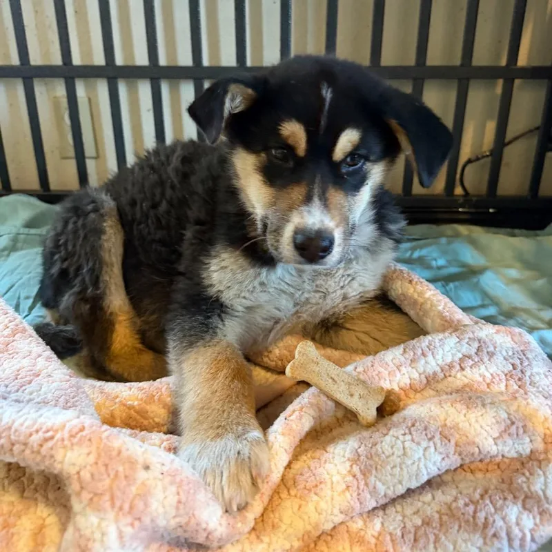 Speed Bump thumbnail 5