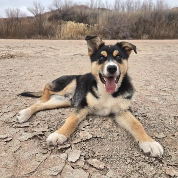 Speed Bump thumbnail 6