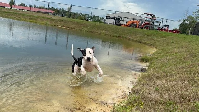 Zoralynn thumbnail 2