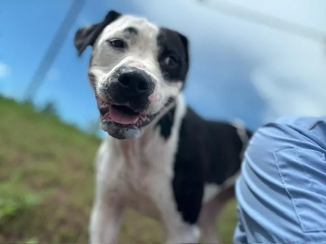 Zoralynn thumbnail 3