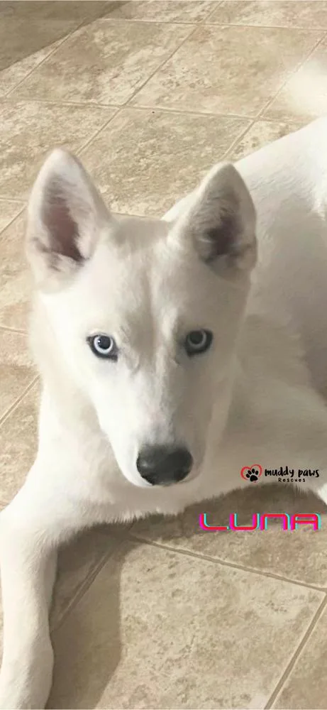 Luna