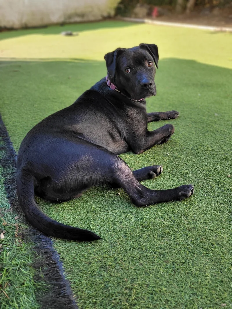 Hercules thumbnail 2