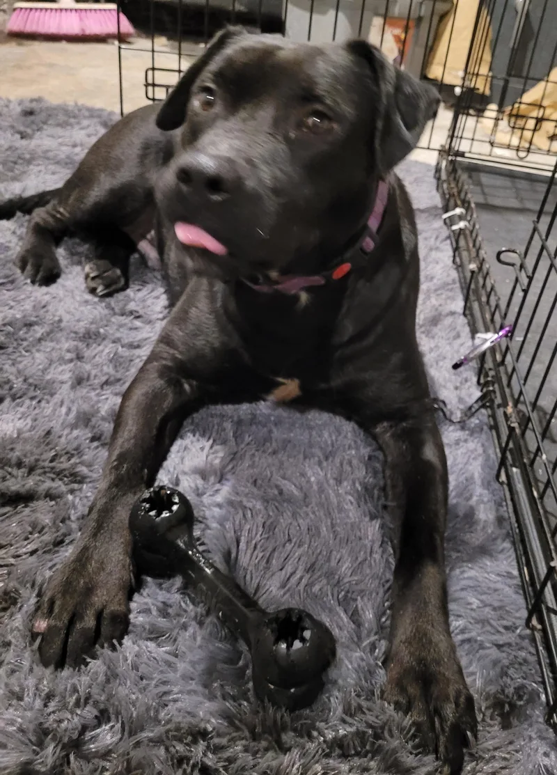 Hercules thumbnail 3