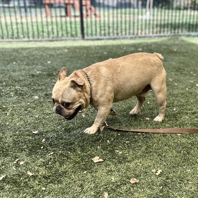 Spiderman  ECAS thumbnail 5