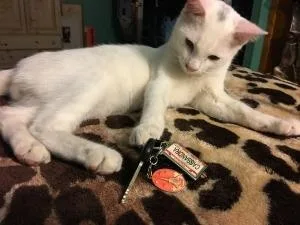 Dr Bojangles thumbnail 2