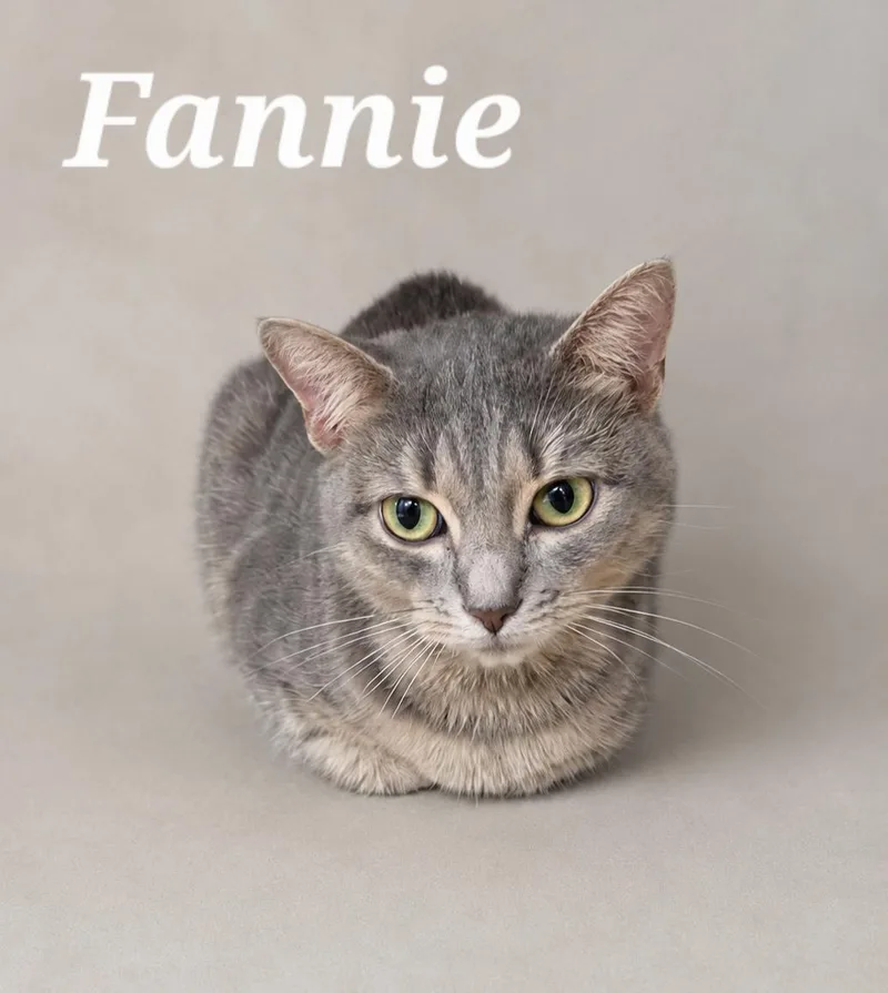 Fannie