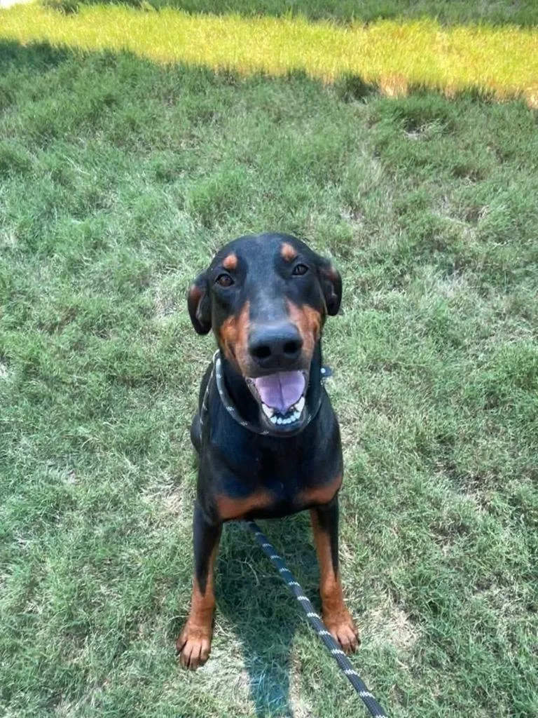 Ruger